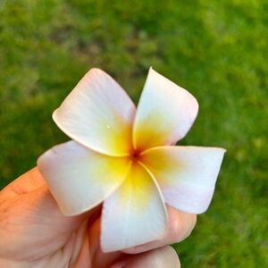 Meet your Posher, Jess